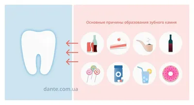 Удаление зубного камня в Щекино. Цены, причины и этапы.