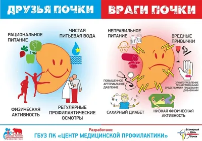 Камни в почках — возможности КТ диагностики. ЦКТ «Премиум».