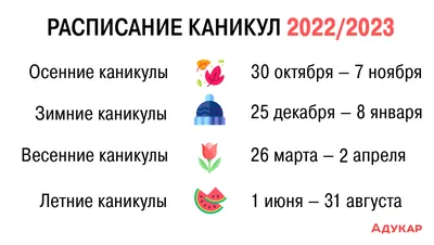 Каникулы у школьников в 2023 – 2024 годах | календарь, информация| В Москве  и Подмосковье