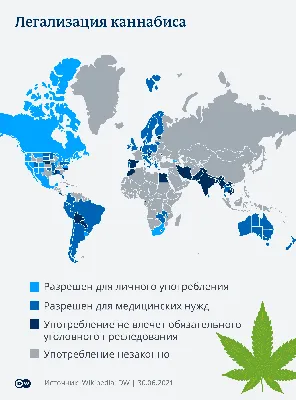 На Украине легализован медицинский каннабис. I Need Spain - все о жизни в  Испании