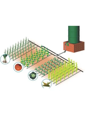 Купить комплекты для капельного полива в интернет-магазине 7 семян по  приемлемой цене