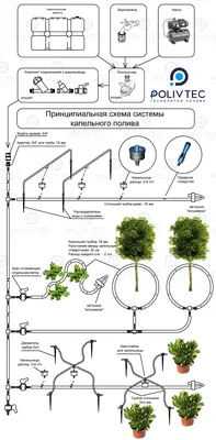 Автоматический капельный полив огорода в Минске и Беларуси - Умный полив