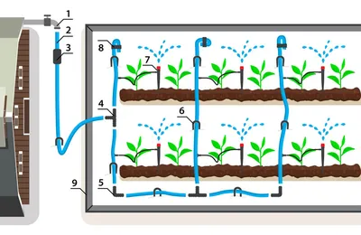 Автоматический капельный полив с таймером Водомерка 8м - купить у  производителя | АЙГРЯДКИ! | ОЦИНКОВАННЫЕ ГРЯДКИ