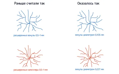 Красные капиллярные пятна на коже, помогите - Советчица