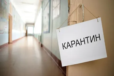 ЧТО ЗНАЧИТ «КАРАНТИН»