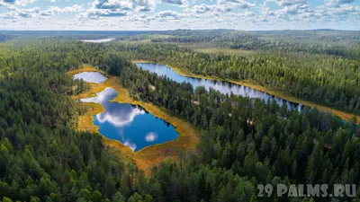 Картинки на тему #Карелия - в Шедевруме