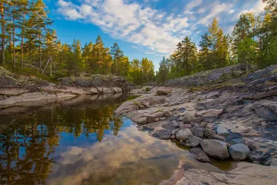 Фотографии природы Карелии возле парк-отеля «Sorola Village»