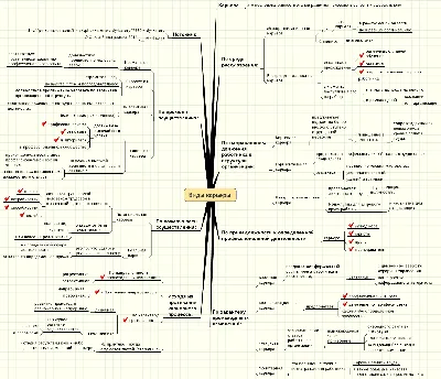 Белка в колесе. Как связаны личное счастье и карьера человека