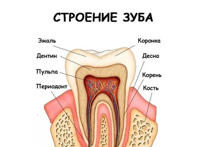 Лечение фиссурного кариеса