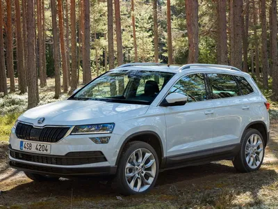 Skoda Karoq (Шкода Карок) - Продажа, Цены, Отзывы, Фото: 271 объявление