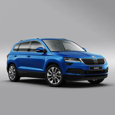 SKODA KAROQ Hockey Edition – обзор комплектации и цены на Шкода Карок  Хоккей Эдишн 2021 в автосалоне дилера Атлант-М Тушино