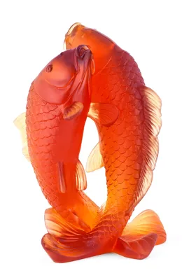 Карп Кои 16-18 см «Премиум» класс / рыба для пруда — Интернет-магазин —  АкваЛайн