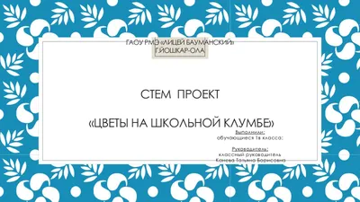 Прощание с первой учебной книгой»Азбукой» в 1В | Муниципальное  общеобразовательное бюджетное учреждение гимназия № 6 г. Сочи имени Зорина  Федора Михайловича