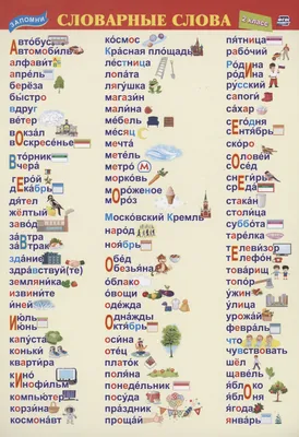 Учебный плакат. Словарные слова. 2 класс - купить книгу с доставкой в  интернет-магазине «Читай-город».