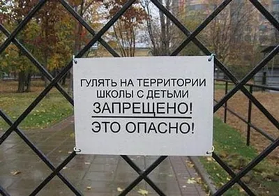 Антиреклама Единой России»: строительство ФОКа в Комсомольском районе  перешло в политическую плоскость - Новости Самары и Тольятти - Новости  Самарского региона НеСлухи.РФ