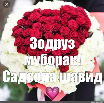 картинка фото барои зодруз｜TikTok Search