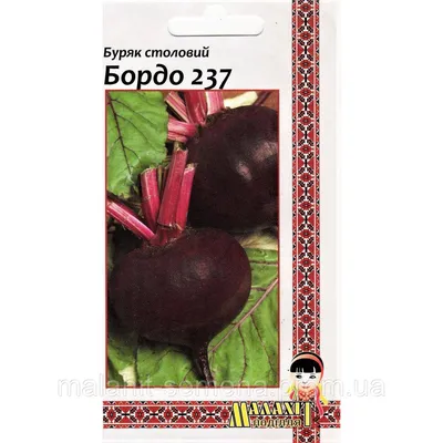 Golden Garden Буряк Єгипетський плоский 20г (4820164129043) купить в  интернет-магазине: цены на семена Буряк Єгипетський плоский 20г  (4820164129043) - отзывы и обзоры, фото и характеристики. Сравнить  предложения в Украине: Киев, Харьков, Одесса,