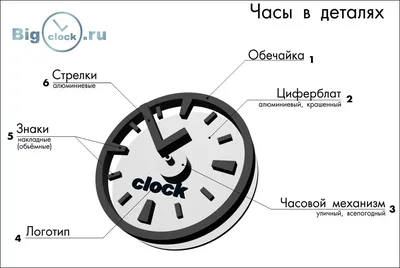 Из-за чего 100 лет назад карманные часы начали носить на руке | Tour2Go |  Дзен