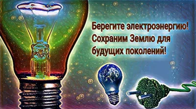 Наука зоология - это интересно - МЭЦ Межшкольный эстетический центр г.  Краснодара