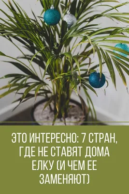 БГУИР - Самопознание: Я - это интересно. Встреча педагога-психолога  Е.А.Дудинской со студентами, проживающими в общежитии №1