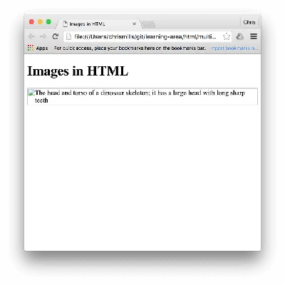 How to Add Background Image in HTML [Step-by-Step]