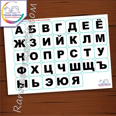 Касса букв, слогов и счета c цветным рисунком (оборотная), А5, ПВХ купить  по цене 132 руб. в Москве. Бесплатная доставка по России. Артикул SP 12.12w