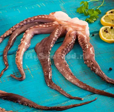 Купить КАЛЬМАРЫ в Москве в магазине рыбы и морепродуктов MySeafood MARKET с  доставкой по выгодной цене