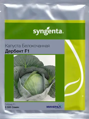 Капуста б/к Ринда F1 - описание, заказать семена по оптовой цене