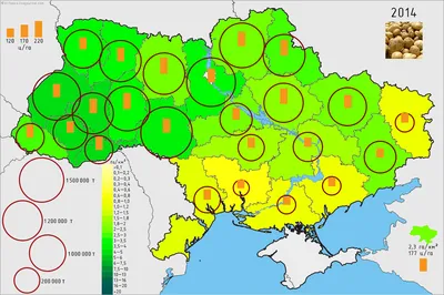 Що можна приготувати з картоплі: ТОП-5 рецептів для будь-якого столу –  Золотоноша.City