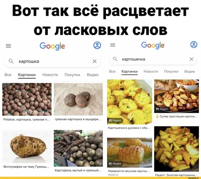 Купить Русские Кондитерские Изделия Яшкинская Картошка 1кг онлайн недорого  | mcmarkt.de