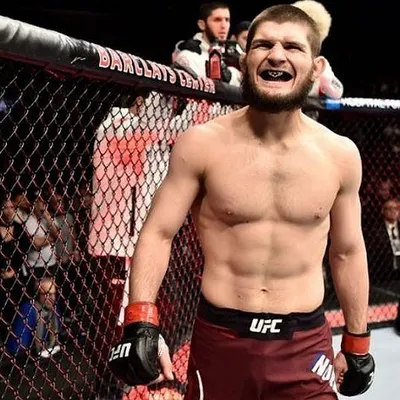 Хабиб Нурмагомедов сохранил титул чемпиона UFC - Ведомости