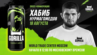 Хабиб Нурмагомедов – Тони Фергюсон UFC: дата боя, прогнозы, результаты