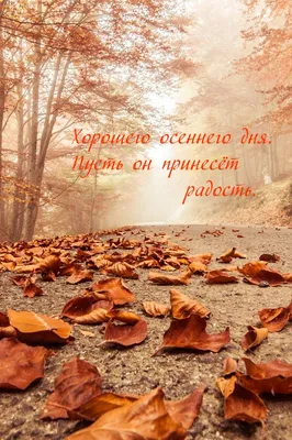 Осенние открытки доброго утра - самые красивые картинки для мотивации и  хорошего настроения
