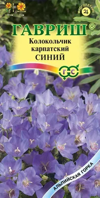 Колокольчик средний Махровый смесь окрасок - описание, заказать семена по  лучшей цене в Самаре