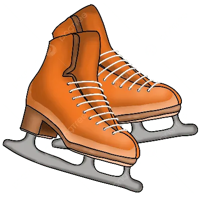 Коньки женские Botas Dagmar купить | sportsystem-pro.ru