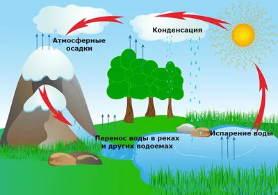 Дем. плакат. круговорот Воды В природе. - купить демонстрационные материалы  для школы в интернет-магазинах, цены на Мегамаркет |