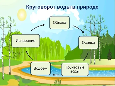 Эксперименты с водой, которые удивят даже взрослых.