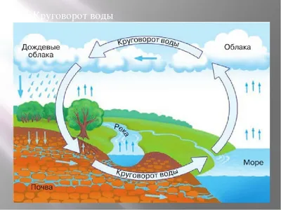 Круговорот воды в природе рисунок легкий - 79 фото