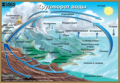 Опиши круговорот воды в природе.(как происходит) - Школьные Знания.com