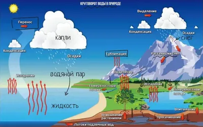 Превращения воды и её круговорот в природе — урок. Окружающий мир, 3 класс.