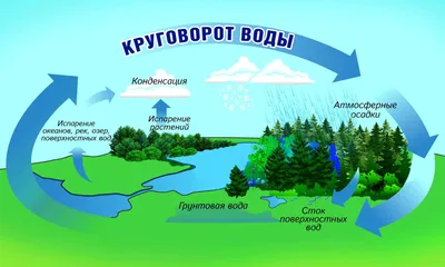 Распечатать шаблон для поделки «Круговорот воды в природе»