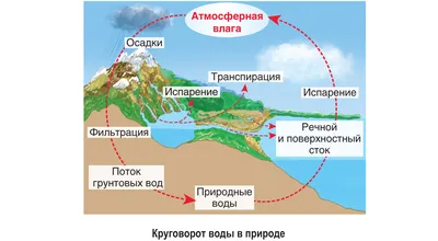 Круговорот воды в природе: интересные факты