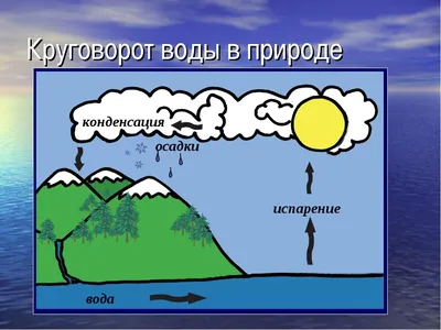 Круговорот воды в природе картинки - 66 фото