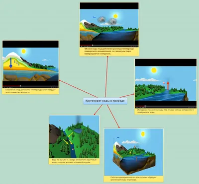 круговорот воды, The Water Cycle for Schools, Russian | U.S. Geological  Survey