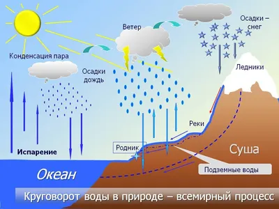 53. Круговорот веществ в биосфере: Круговорот воды