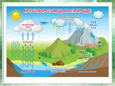 Модель “Круговорот воды в природе” | Лаборатории под ключ