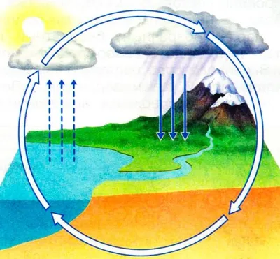 Картинки круговорота воды в природе (40 картинок) - Pichold