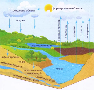 Круговорот воды в природе: интересные факты