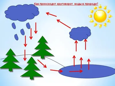 Круговорот воды в природе: значения, виды и элементы, схема мирового  влагооборота