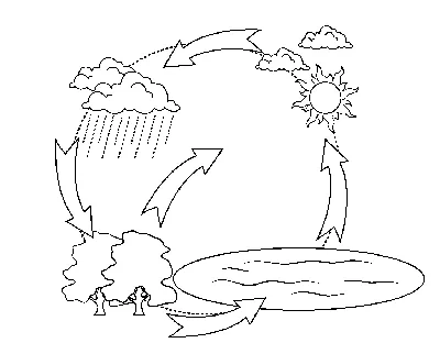 Круговорот Воды В Природе Рисунок 5 Класс (46 Фото)